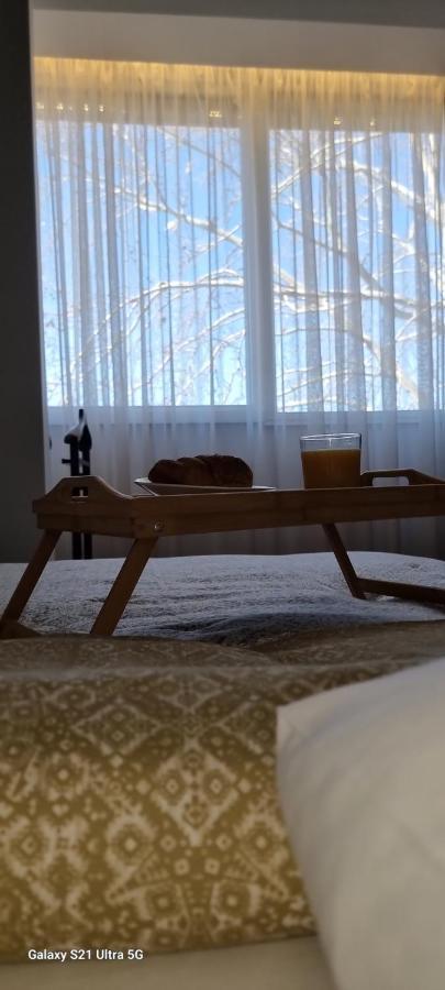 Rosewood Podgorica Apartman Kültér fotó